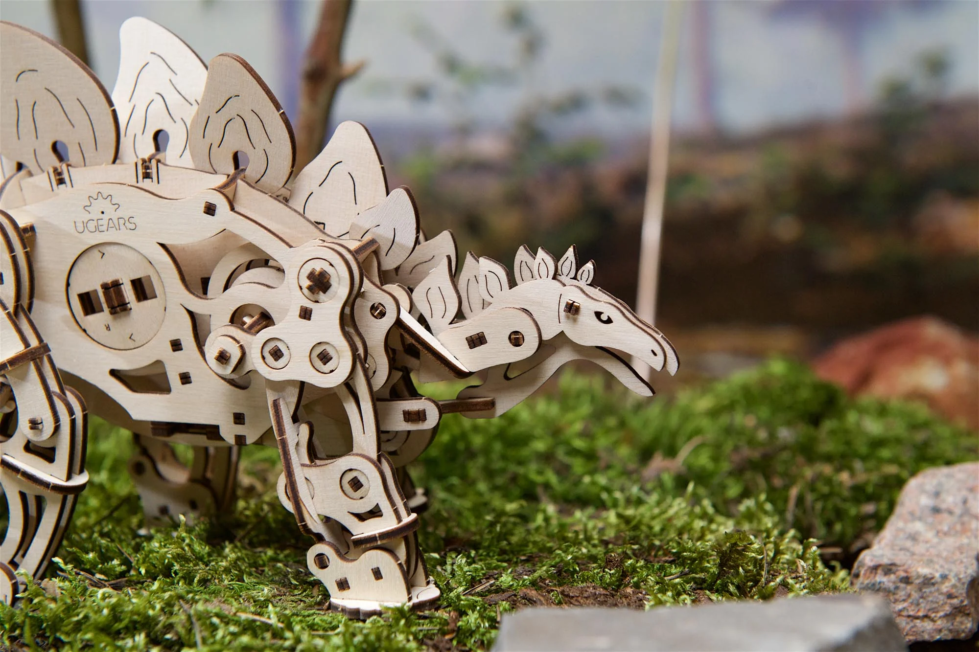 Thumbnail 9